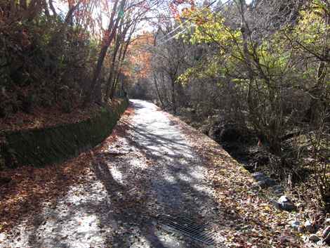 20191129hike (15)